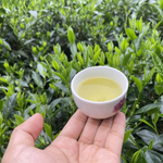 Hướng Dẫn Chọn Mua Trà Xanh Thái Nguyên Làm Quà Biếu & Thưởng Trà Chuẩn Vị Tại TPHCM